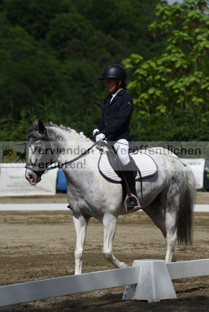 DSC_8803 | equestrian-live-com