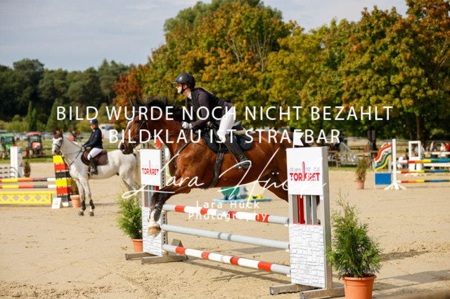 _62_9063 | larahueckfotografie