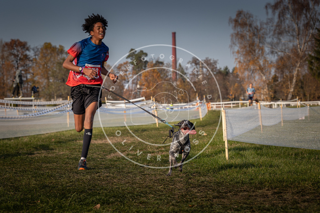 CaniXpix_0L8A9712 | Hundefotografie, Tierfotograf, Pfotenfotografie, Fotoshooting Hund, Hunde Portrait, Hundesport, Hundeportraits, Heideshooting, Hunde, Sportfotograf, Hundefotograf, Turnierhundsport, THS,  - Realisiert mit Pictrs.com