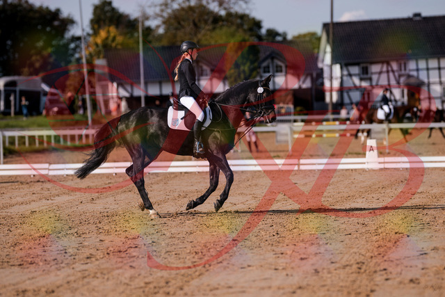 2026_10_03_Siefer-Hof_115614_Z81_96421784 | Professionelle Reitsport-, Turnier- und Eventfotografie von Robert Broda. Galerien mit ausgewählten und bearbeiteten Bildern direkt online ansehen und bestellen.