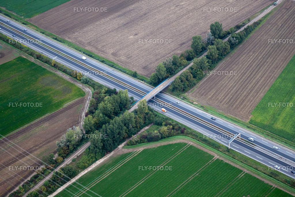Ortsansicht | Luftbild: Ortsansicht in Mutterstadt im Bundesland Rheinland-Pfalz in Deutschland. Foto: IMG_34190.jpg vom 02.10.2010 durch Werner Riehm/FLY-FOTO.de - Realisiert mit Pictrs.com
