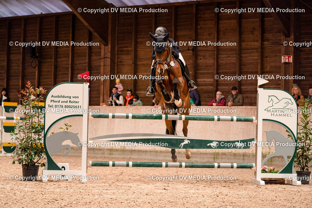 Springen Tag 3-353 | dv-media-shop - Realisiert mit Pictrs.com