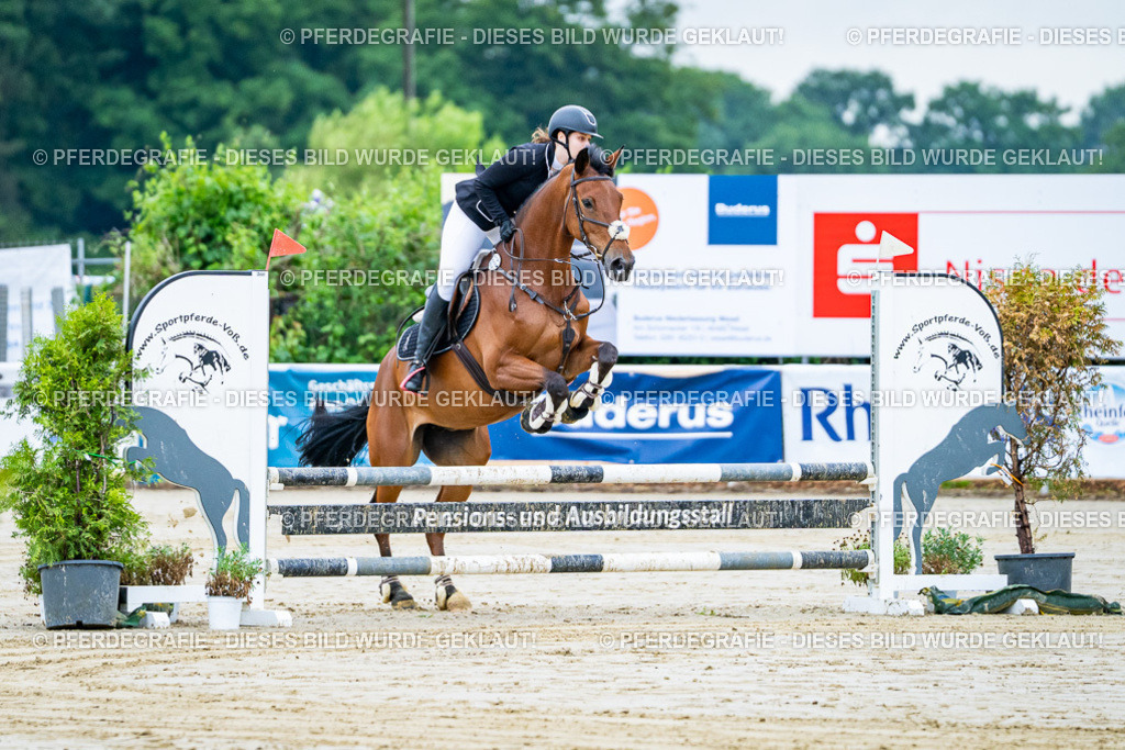 DSC00977 | Pferdegrafie