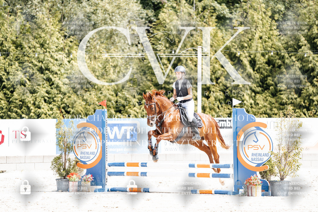 CK906364 | Turnierfotografie Pferdefotografie Trier Rheinland-Pfalz Pferdesport Reitsport Tierfotografie Sportfotografie Pferdevideo Pferdevideografie Equestrianvideography equestrianphotography  - Realisiert mit Pictrs.com