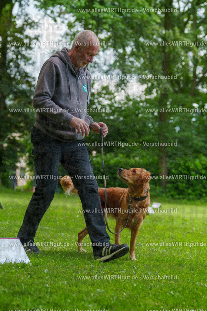 @allesWIRTHgut_Tierfotografie - www.allesWIRTHgut.de - 125652-7R509574 | Professionelle Tierfotografie in Mönchengladbach von Daniel Wirth (allesWIRTHgut). Liebevolle & natürliche Bilder von Hunden & Katzen für unvergessliche Erinnerungen.