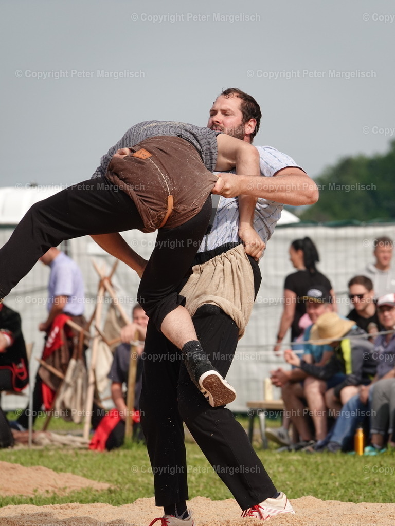 DSC06706 | Schwingen - Realisiert mit Pictrs.com