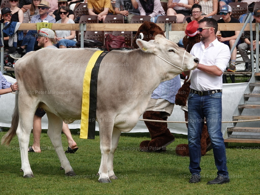 DSC07409 | Schwingen - Realisiert mit Pictrs.com