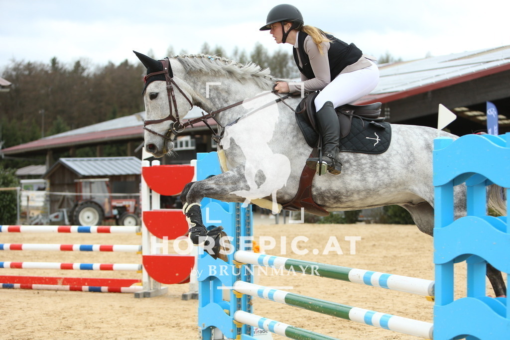 DL2Q2471 | Willkommen bei Brunnmayr - Design & Fotografie – Ihrem Spezialisten für Reitturniere und Pferdeveranstaltungen in Oberösterreich, Salzburg und Bayern! Seit über 17 Jahren sind wir leidenschaftlich dabei.