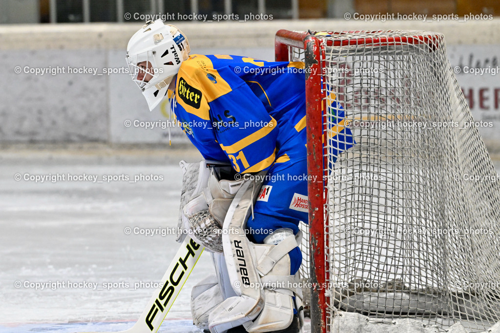EC Spittal Hornets vs. EHC Althofen 6.1.2024 | #31 Horn Fabian