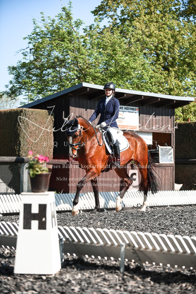 DSC_8533 | Pferde- und Turnierfotografie in Westsachsen. Pferdeportraits, Auftragszeichnungen und intuitive Kunst.