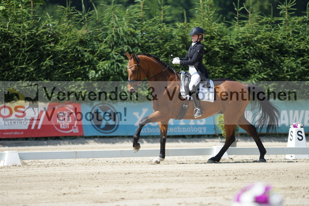 DSC02253 | equestrian-live-com