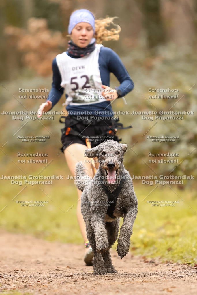 Dog Paparazzi - Speedhunter Mannheim  2025-146 | Dog Paparazzi Jeanette Grottendiek Fotografie & Videografie