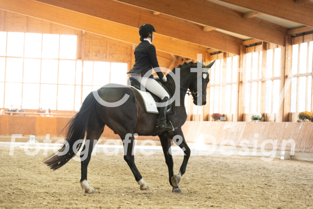 IMG_3277 | Creatify Fotografie