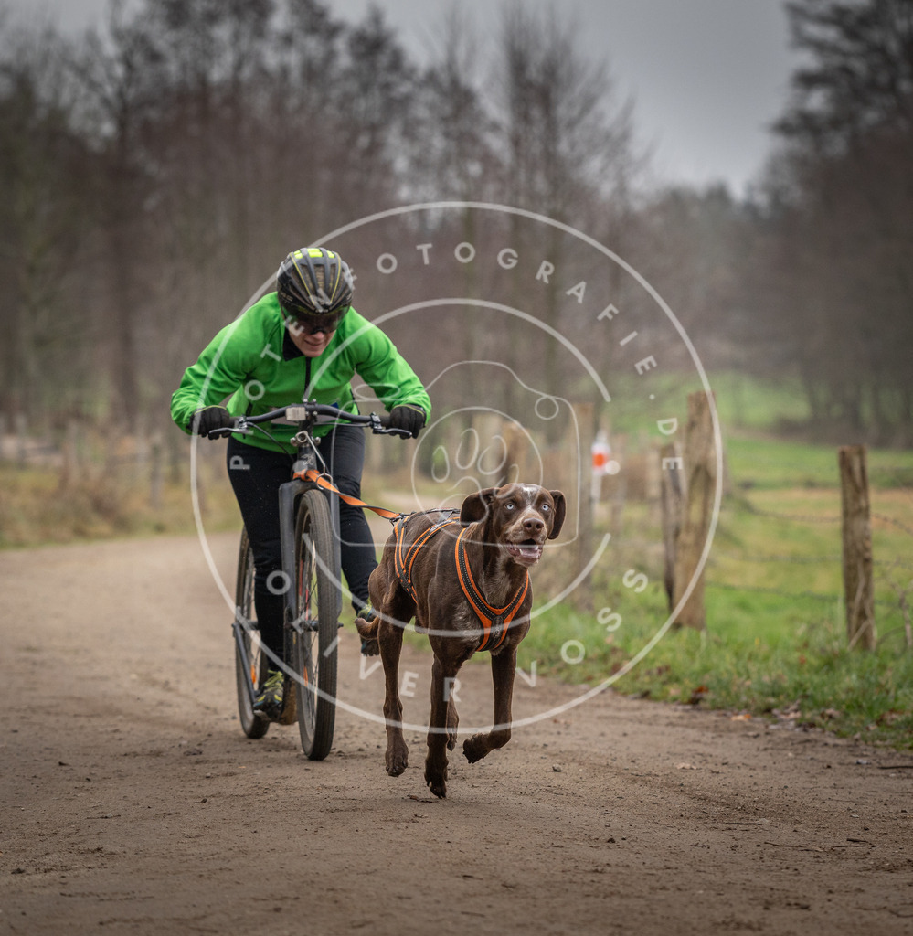 Pfotenfotografie_DV3A2360 | Hundefotografie, Tierfotograf, Pfotenfotografie, Fotoshooting Hund, Hunde Portrait, Hundesport, Hundeportraits, Heideshooting, Hunde, Sportfotograf, Hundefotograf, Turnierhundsport, THS,  - Realisiert mit Pictrs.com