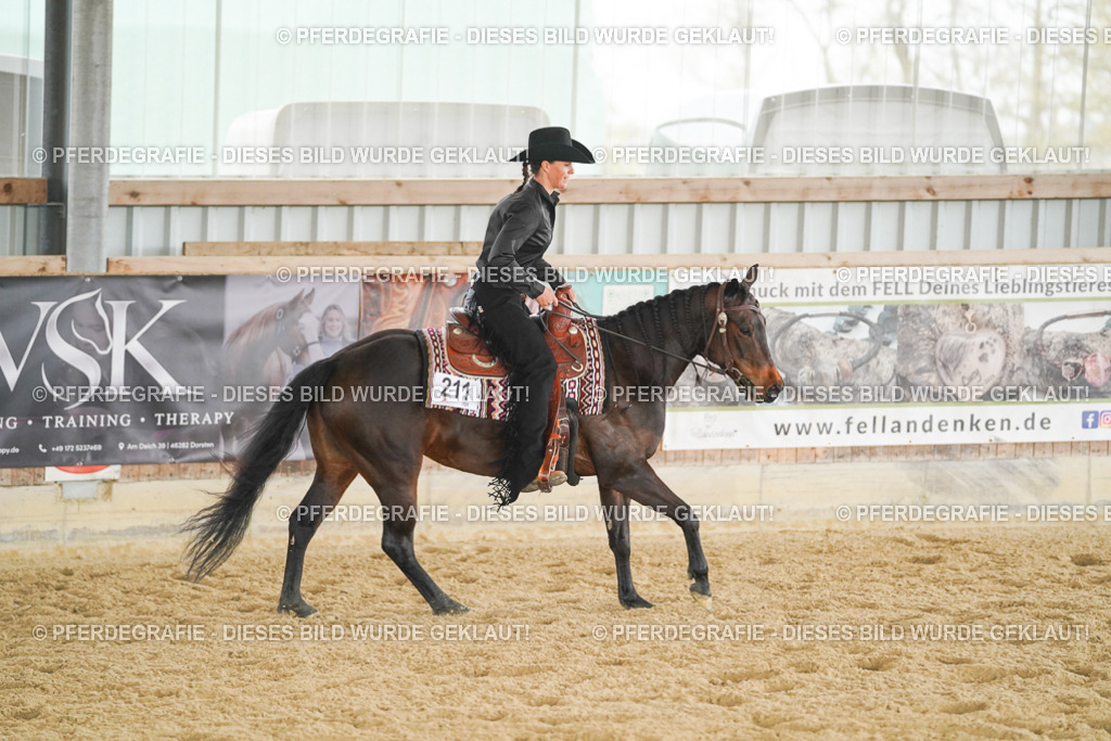 DSC04498 | Pferdegrafie