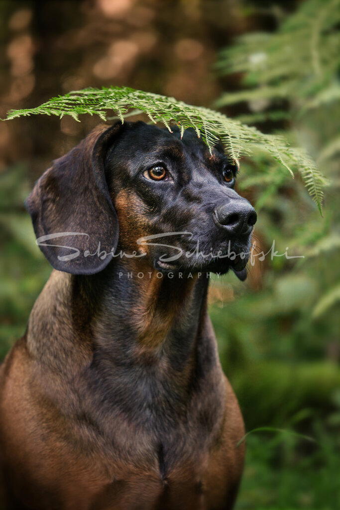 Zensi_23-09-082023_09_8_DSCF0584 1 | People- und Tierfotografie, Imageaufnahmen, Veranstaltungsfotografie und Wandbilder aus der Natur ★ Made in Germany ✔️ Druck + Downloads ✔️ Naturfotografie in Top Qualität ★ schneller Versand, weltweite Lieferung! - Realisiert mit Pictrs.com