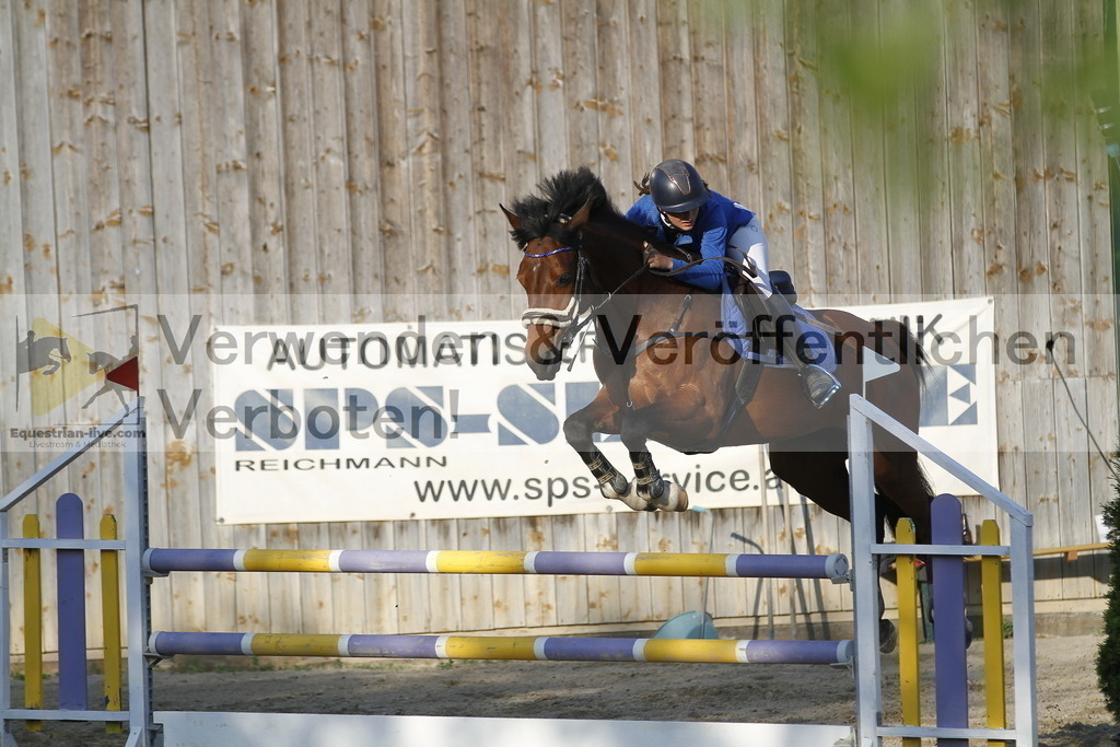 _MG_2313 | equestrian-live-com