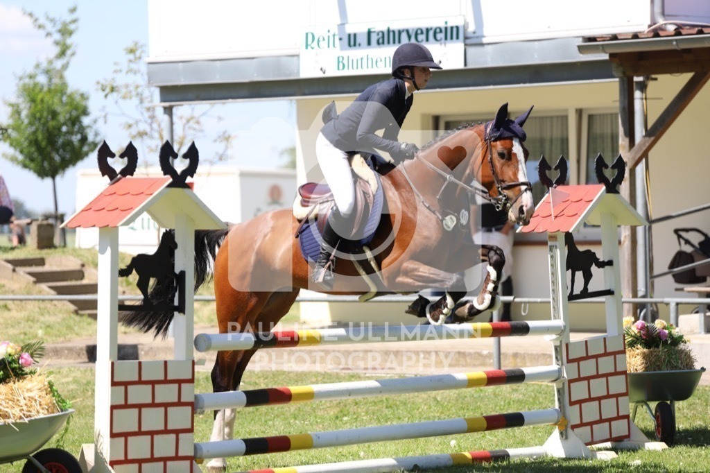 IMG_6259 | Pauline Ullmann Photography - Realisiert mit Pictrs.com