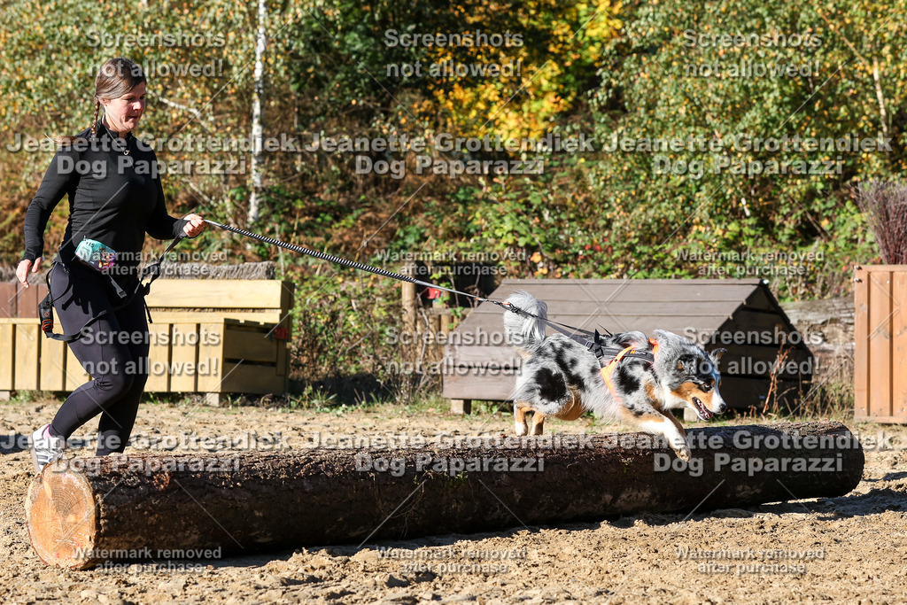 Dog Paparazzi - Strongdog 10-25-2030 | Dog Paparazzi Jeanette Grottendiek Fotografie & Videografie - Realisiert mit Pictrs.com