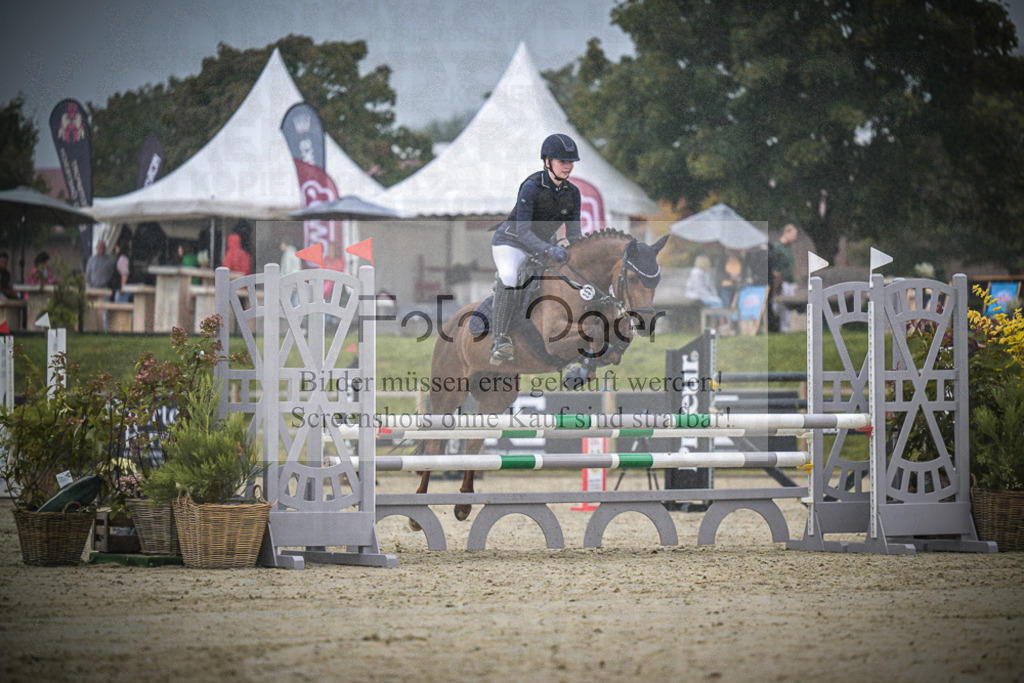 DOS_0229 | Entdecke hochwertige Reitturnierfotos von Foto Oger. Professionell, emotional und authentisch – jetzt Lieblingsmomente im Shop bestellen.Deutschlandweite Turnierfotografie. - Realisiert mit Pictrs.com