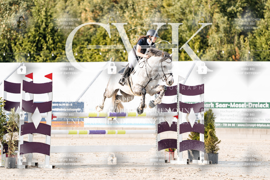 CK903392 | Turnierfotografie Pferdefotografie Trier Rheinland-Pfalz Pferdesport Reitsport Tierfotografie Sportfotografie Pferdevideo Pferdevideografie Equestrianvideography equestrianphotography  - Realisiert mit Pictrs.com