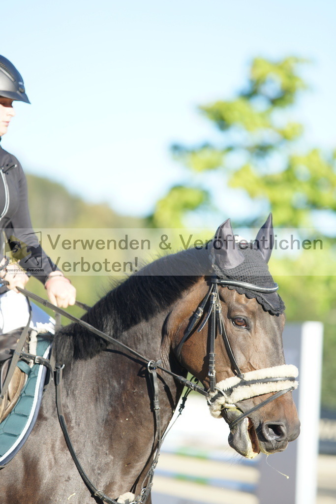 DSC08117 | equestrian-live-com