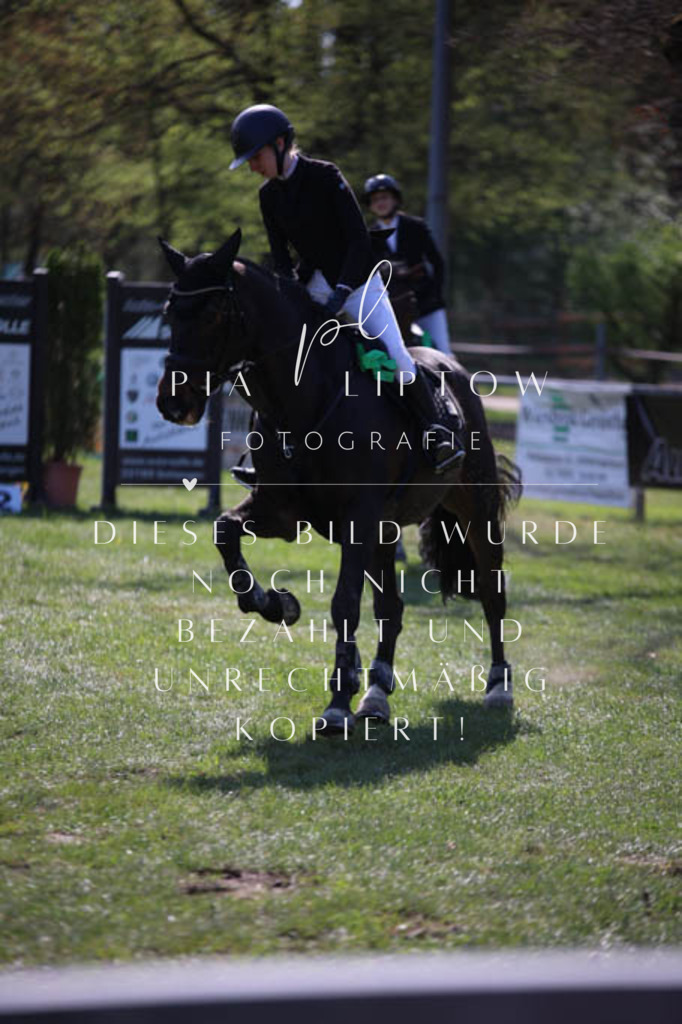 IMGT5777 | pl-fotografie