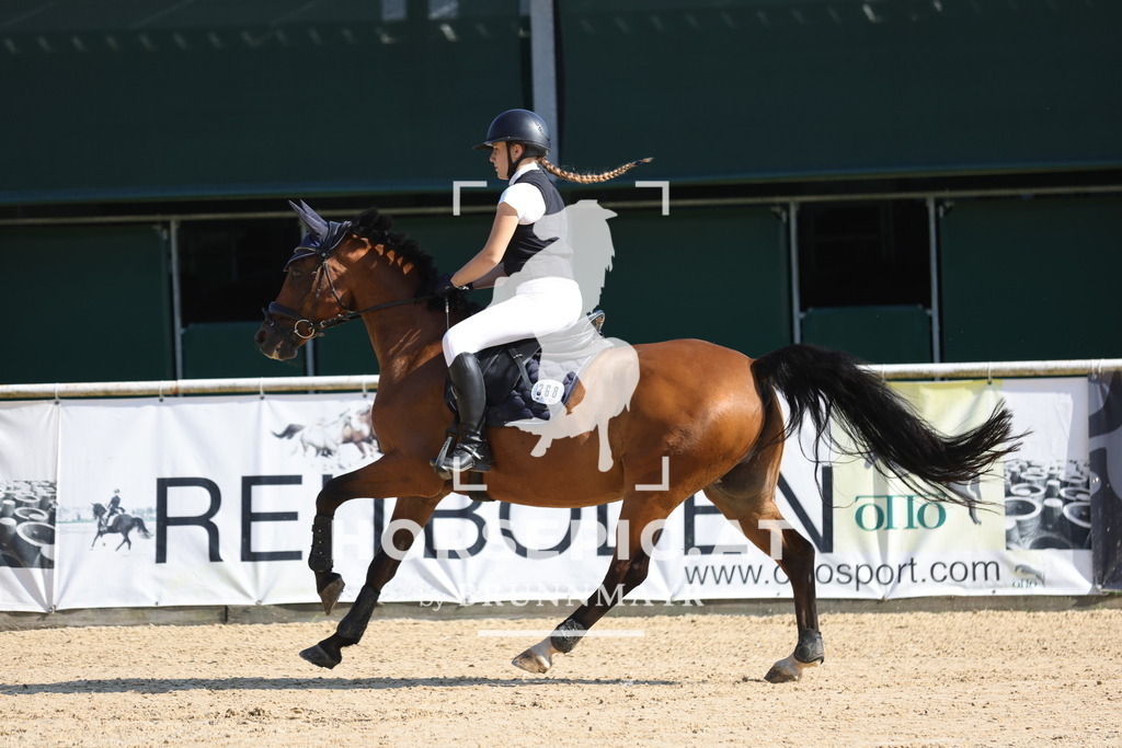 0P6A5011 | Willkommen bei Brunnmayr - Design & Fotografie – Ihrem Spezialisten für Reitturniere und Pferdeveranstaltungen in Oberösterreich, Salzburg und Bayern! Seit über 17 Jahren sind wir leidenschaftlich dabei.