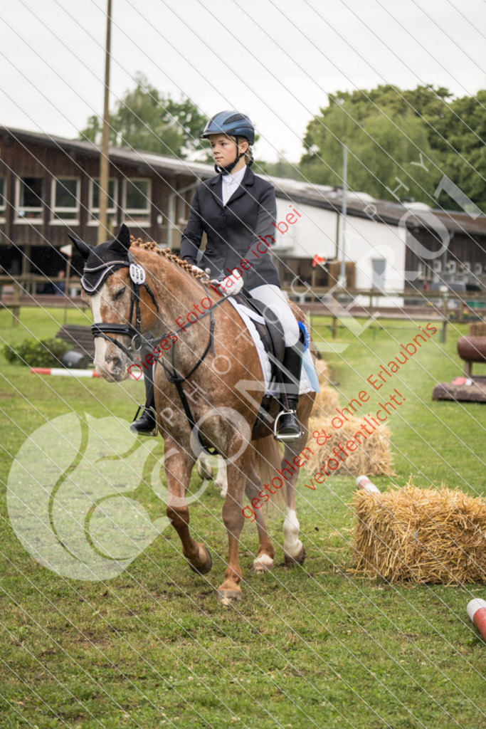 IMG_8013 | Sport-, Event- und Tierfotos in Profiqualität. Einfach auswählen, bestellen und herunterladen. Dein Moment – perfekt festgehalten.