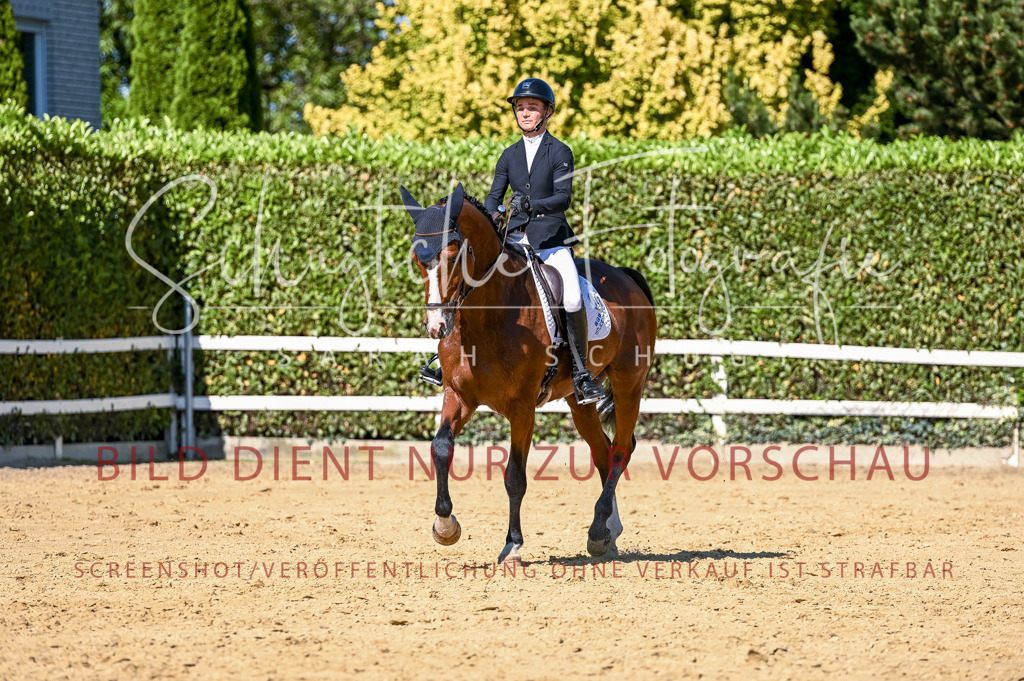 Schugtsche-Aluta25-50.Dressurpferdeprf.L-154 | Schugtsche Fotografie - Realisiert mit Pictrs.com