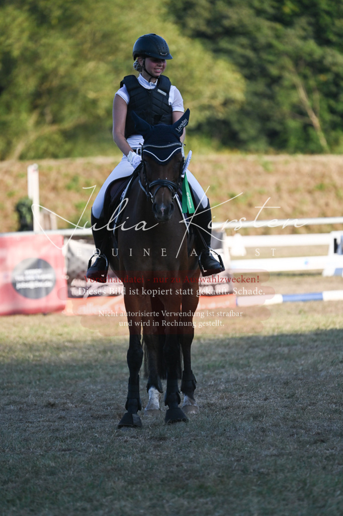 DSC_9286 | Pferde- und Turnierfotografie in Westsachsen. Pferdeportraits, Auftragszeichnungen und intuitive Kunst.