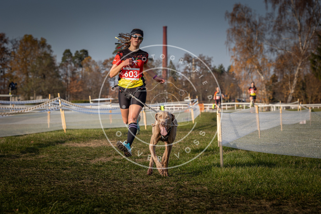 CaniXpix_0L8A0082 | Hundefotografie, Tierfotograf, Pfotenfotografie, Fotoshooting Hund, Hunde Portrait, Hundesport, Hundeportraits, Heideshooting, Hunde, Sportfotograf, Hundefotograf, Turnierhundsport, THS,  - Realisiert mit Pictrs.com