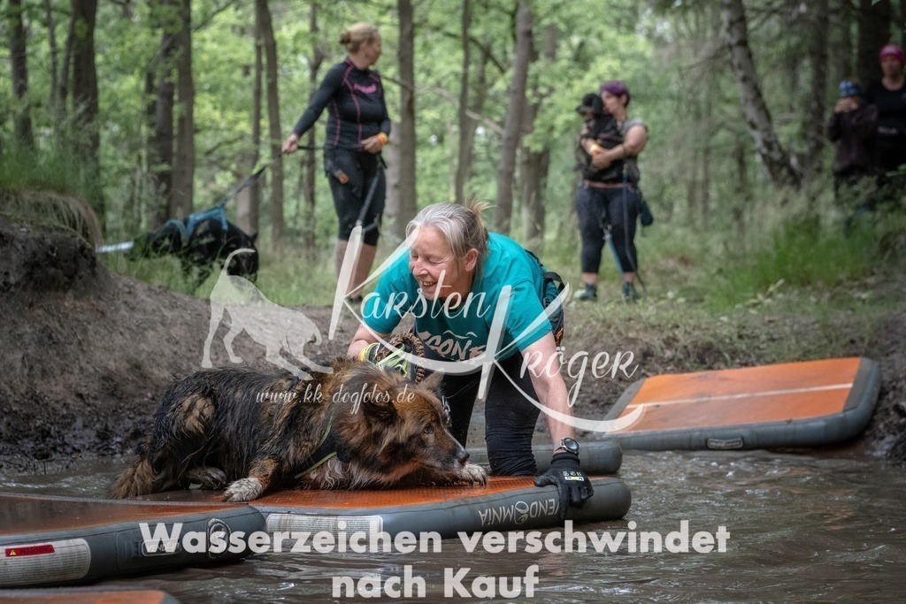 1248_ZZ91082T | kk-dogfotos