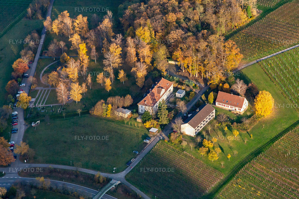 Keschde Buckel und Pflälzische Gedenkstätte Philipp Ehmer für die Opfer der NS-Psychatrie | Luftbild: Keschde Buckel und Pflälzische Gedenkstätte Philipp Ehmer für die Opfer der NS-Psychatrie in Klingenmünster im Bundesland Rheinland-Pfalz in Deutschland. Foto: IMG_139279.jpg vom 22.11.2023 durch ©2025 Werner Riehm fly-foto.de/copyright - Realisiert mit Pictrs.com