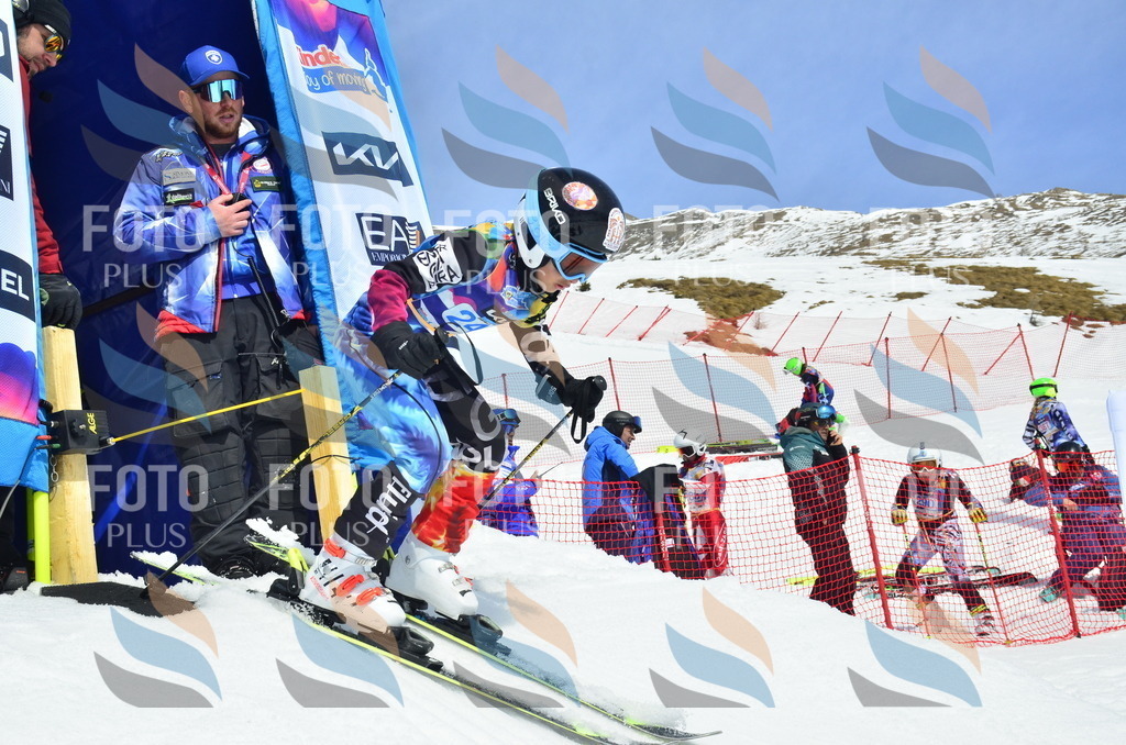 _ELE1796 | holidayphoto