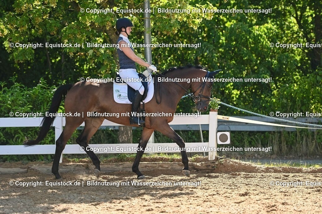 20230715_06_Dressurpferdeprfg. Kl.A_0392 | equistock