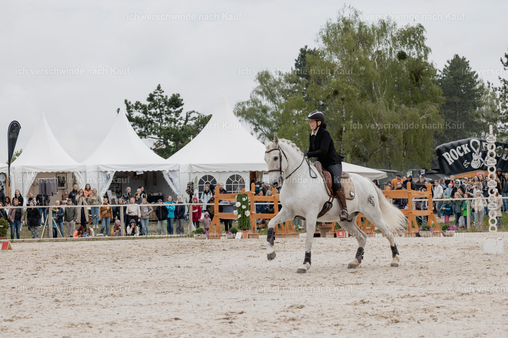 PI26_SP_StoibphotographyC2_C0133.jpg | working equitationturnier fotograf videograf stoibphotography marixx film working equitation deutschland reitsport turnierfotografie eventfotografie equestrian events