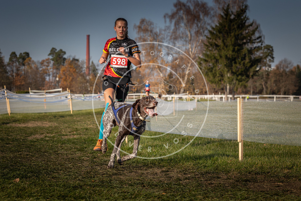 CaniXpix_0L8A9944 | Hundefotografie, Tierfotograf, Pfotenfotografie, Fotoshooting Hund, Hunde Portrait, Hundesport, Hundeportraits, Heideshooting, Hunde, Sportfotograf, Hundefotograf, Turnierhundsport, THS,  - Realisiert mit Pictrs.com