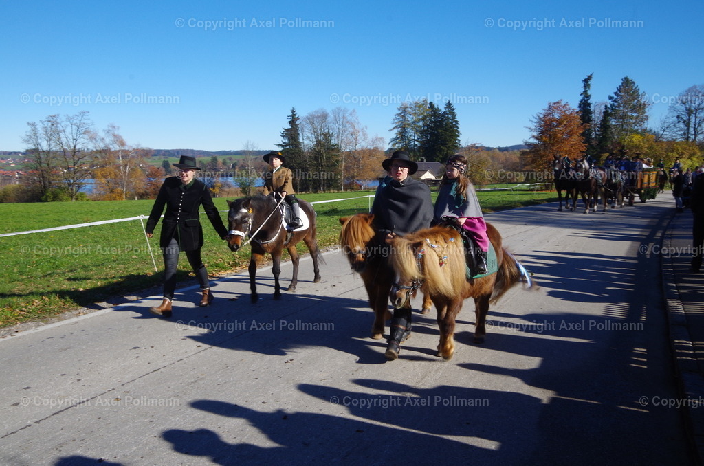 IMGP8101 | fotografiert von Axel PollmannLeonhardi Wallfahrt Benediktbeuern und Murnau, Fronleichnam, Fasching, Landschaft im Loisachtal und Benediktbeuern  - Realisiert mit Pictrs.com