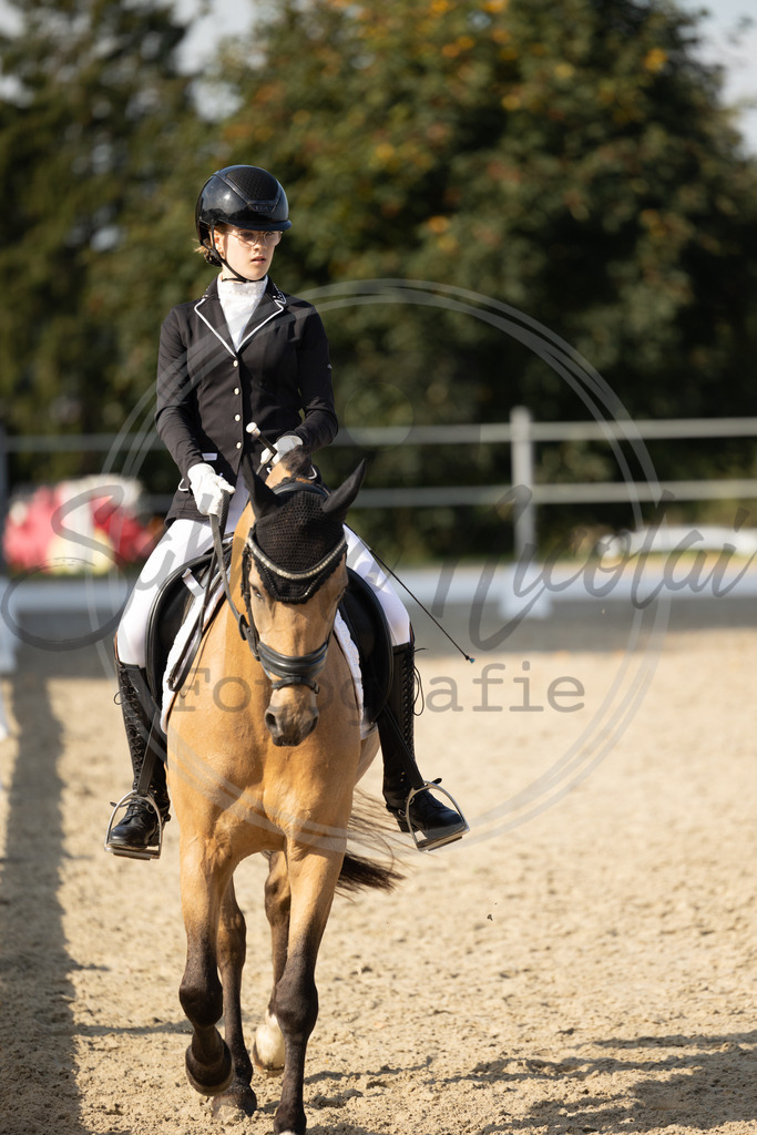 994A1596 | sabrinanicolaifotografie - Realisiert mit Pictrs.com