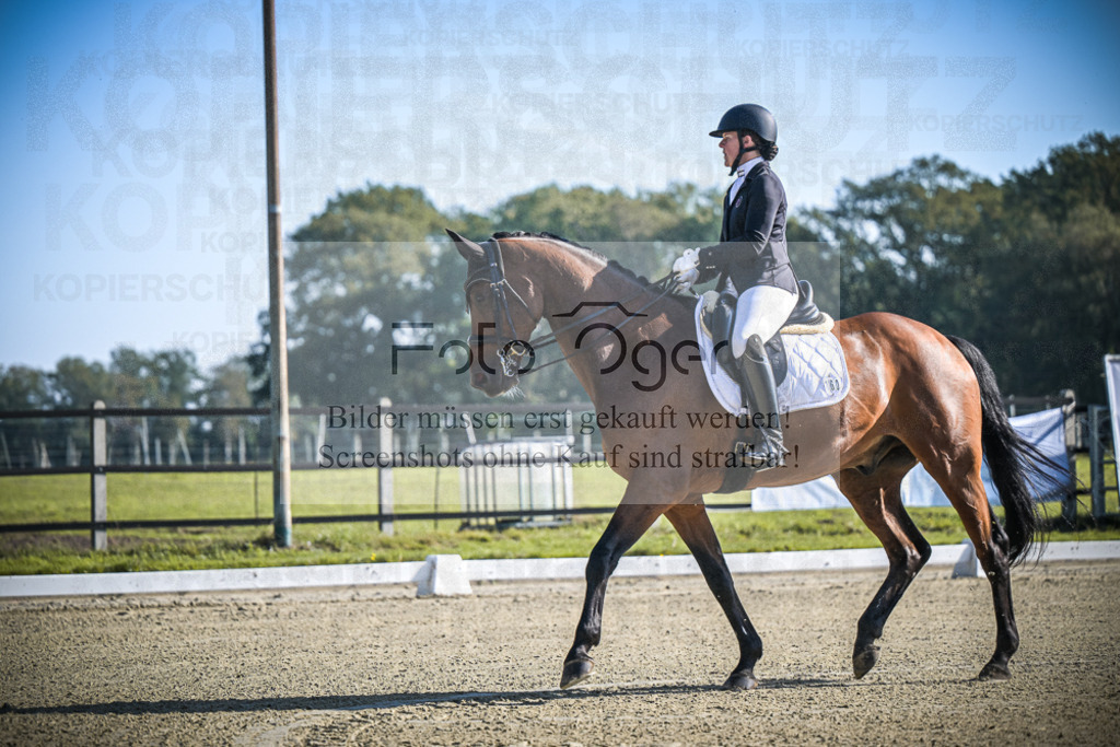 DOS_0068 | Entdecke hochwertige Reitturnierfotos von Foto Oger. Professionell, emotional und authentisch – jetzt Lieblingsmomente im Shop bestellen.Deutschlandweite Turnierfotografie. - Realisiert mit Pictrs.com