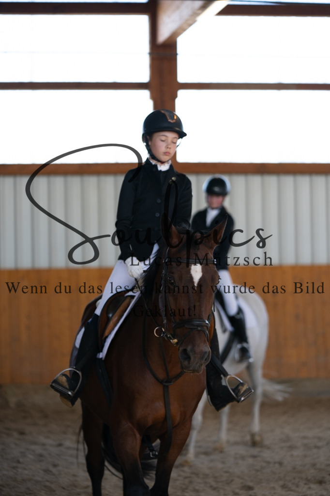 A7V02071 | Turnier/Reitfotograf