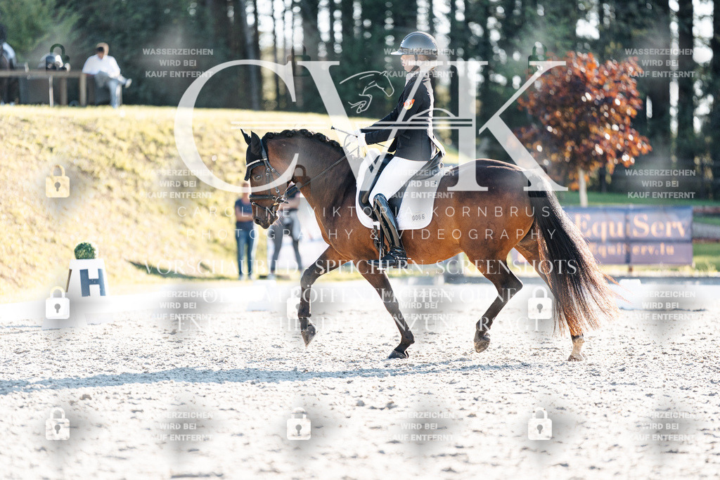 CK907048 | Turnierfotografie Pferdefotografie Trier Rheinland-Pfalz Pferdesport Reitsport Tierfotografie Sportfotografie Pferdevideo Pferdevideografie Equestrianvideography equestrianphotography  - Realisiert mit Pictrs.com