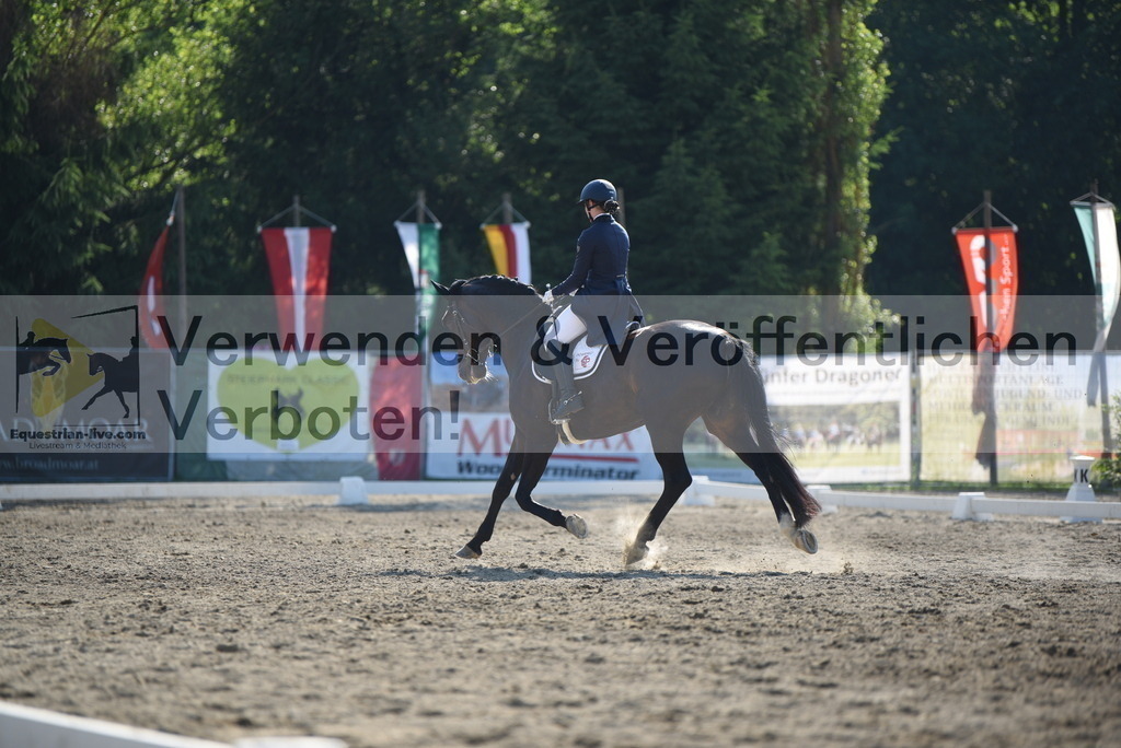DSC_2684 | equestrian-live-com