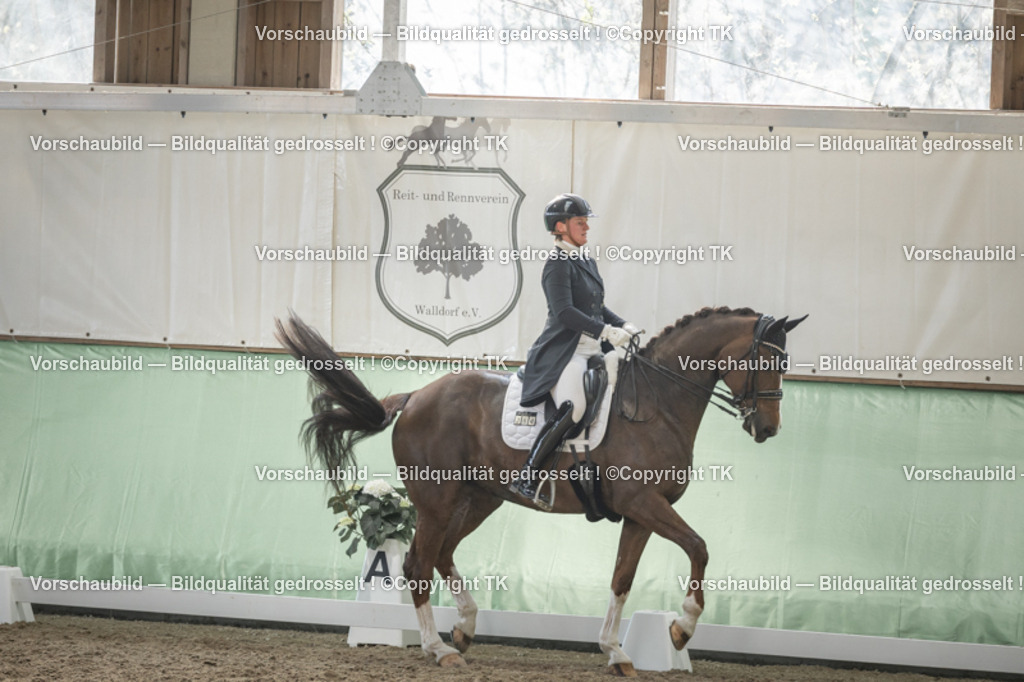 _D5A6630 | Emotionale Pferde- & People-Fotografie rund um Heidelberg, Leimen & Umgebung. Natürliche Fotos von Pferd, Mensch & Familie. Jetzt Termin sichern!