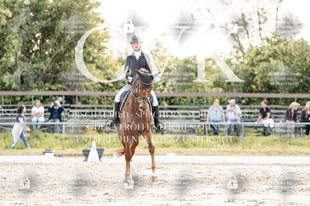 CK909731 | Turnierfotografie Pferdefotografie Trier Rheinland-Pfalz Pferdesport Reitsport Tierfotografie Sportfotografie Pferdevideo Pferdevideografie Equestrianvideography equestrianphotography  - Realisiert mit Pictrs.com