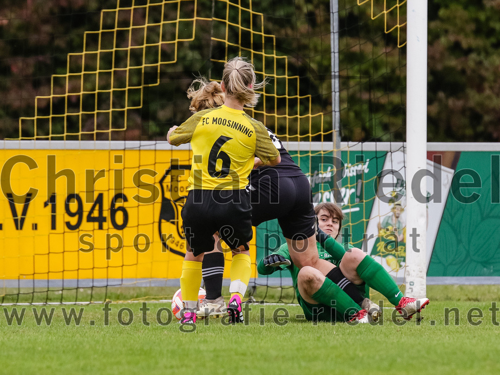 2023-10-08_095_FC_Moosinning_gegen_SG_TSV_St_Wolfgang-FC_Lengdorf | Moosinning, Deutschland, 08.10.2023:
Fußball, Kreisliga 2023 / 2024, 4. Spieltag, FC Moosinning gegen (SG) TSV St.Wolfgang/FC Lengdorf, Endergebnis: 

Foto: Christian Riedel / fotografie-riedel.net