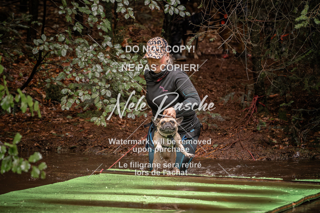 nelerasche_Wingst_Sa1330-1400_105 | nelerasche