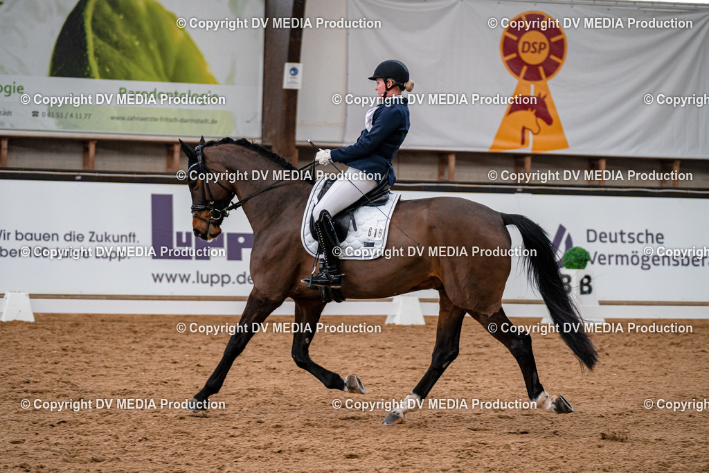 Kranichstein Tag 1-167 | dv-media-shop - Realisiert mit Pictrs.com