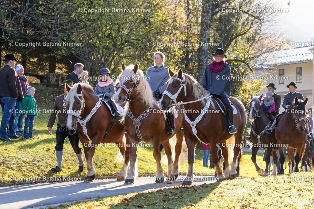 LL24-198 | foto-bettina-krinner - Realisiert mit Pictrs.com